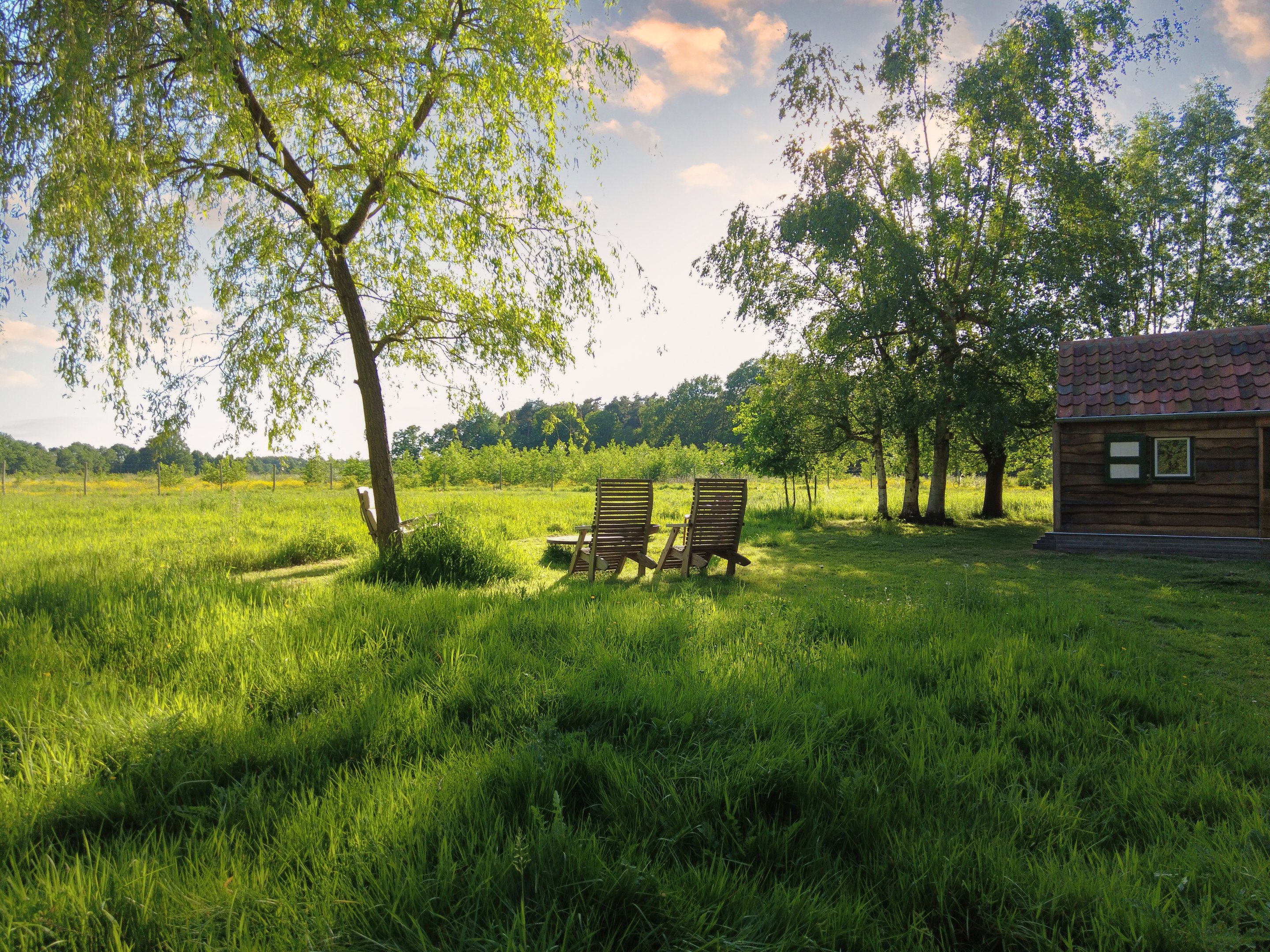 uitzicht over de tuin van de hoeve